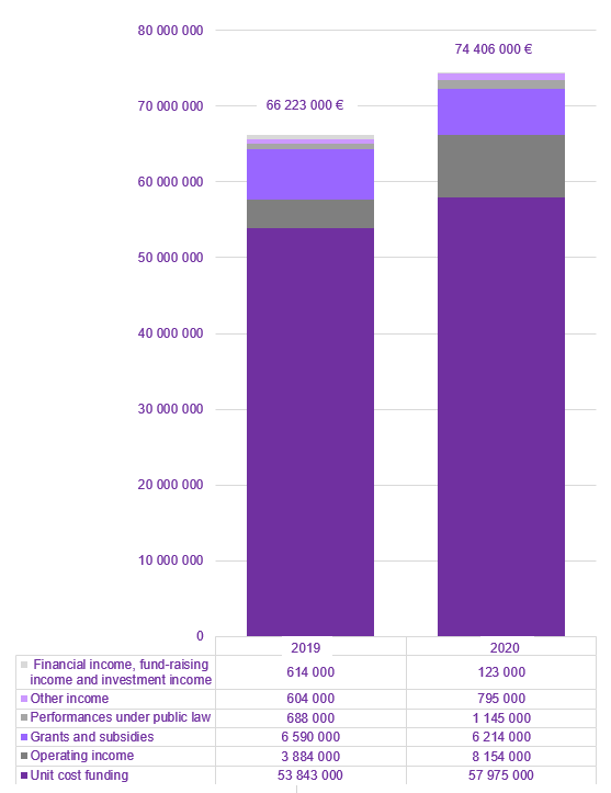 Profit and loss account revenues in 2019 and 2020.