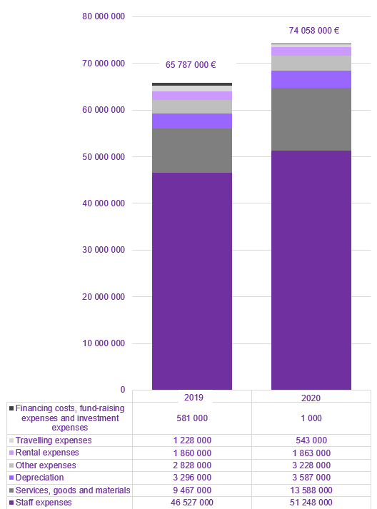 Profit and loss account expenses in 2019 and 2020.