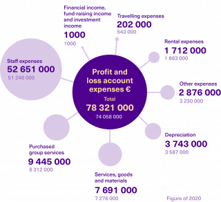 Profit and loss account expenses