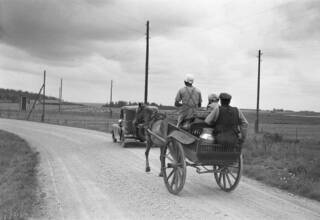 Maitokärryt maantiellä