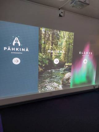 Aistiseinä. Kuva: Saija Mannila