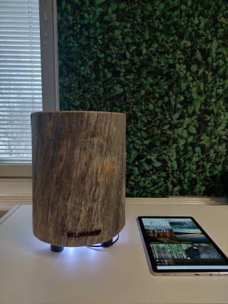 Pikku Kelo. Kuva: Saija Mannila