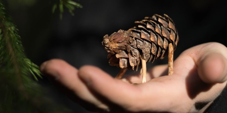 Tuottajien työnohjaus – pienryhmä kuvituskuva