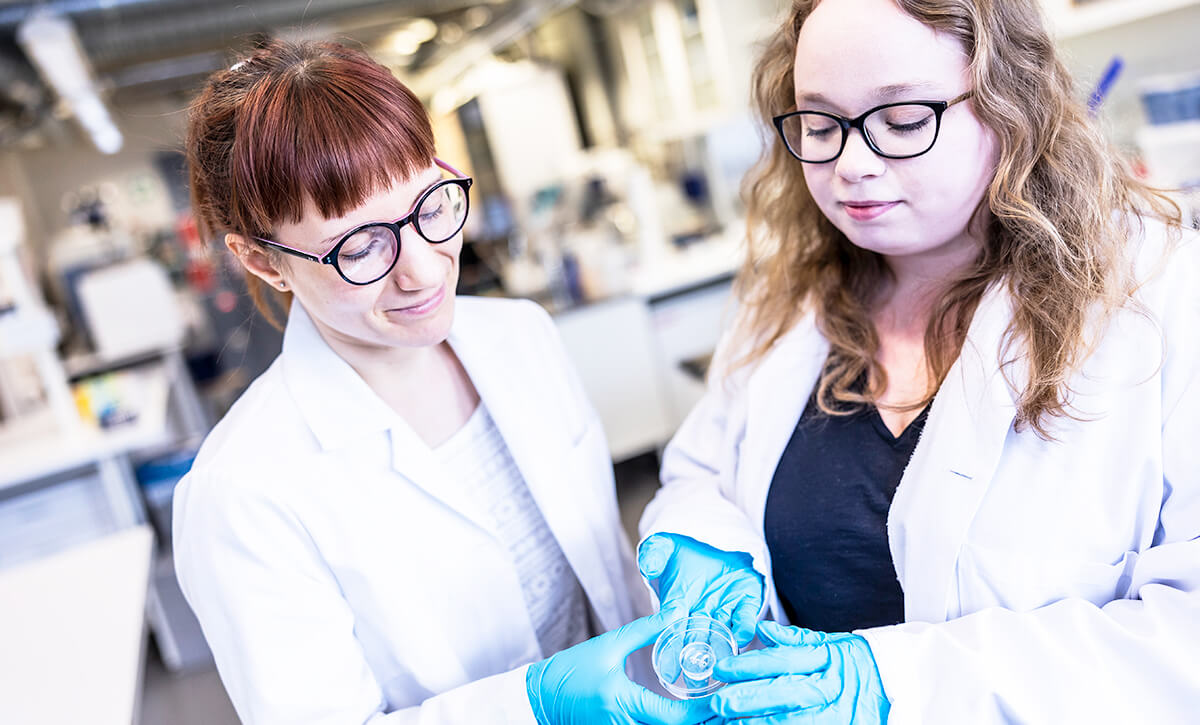 Two students look at the content of a transparent Petri dish in a brightly lit laboratory.