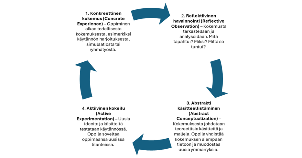 1. Konkreettinen kokemus: Oppiminen alkaa todellisesta kokemuksesta, esim. käytännön harjoituksesta, simulaatiosta tai ryhmätyöstä.2. Reflektiivinen havainnointi: Kokemusta tarkastellaan ja analysoidaan. Mitä tapahtui? Miksi? Miltä se tuntui? 3. Abstrakti käsitteellistäminen: Kokemuksesta johdetaan teoreettisia malleja ja käsitteitä. Oppija yhdistää kokemuksen aiempaan tietoon ja muodostaa uusia ymmärryksiä. 4. Aktiivinen kokeilu: Uusia ideoita ja käsitteitä testataan käytännössä. Oppija soveltaa oppimaansa uusissa tilanteissa.