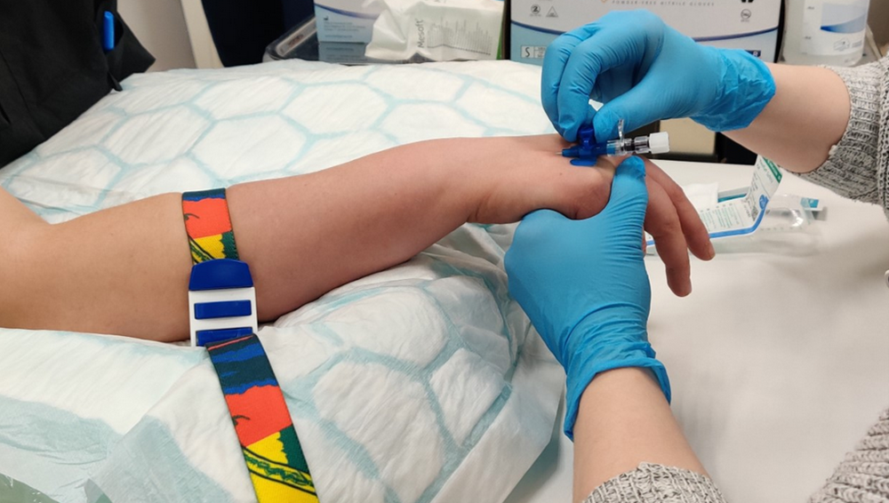 Opiskelija laittaa toiselle kanyyliä kämmenselkään. Rajaus opiskelijoiden käsiin.