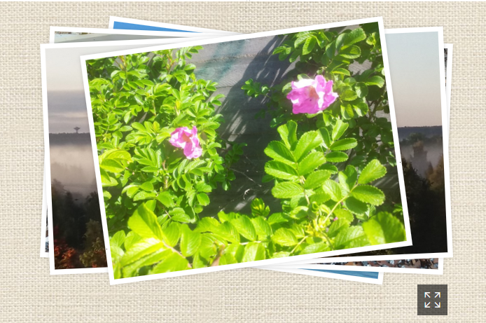 Kuvien asettelua on helppo muuttaa