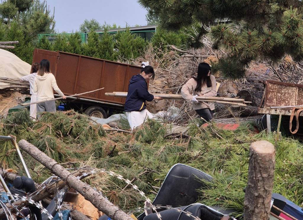 Paviljonkien rakentaminen aloitettiin keräämällä suunnitelman mukaisia materiaaleja kaatopaikalta.