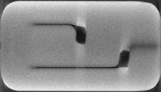 Keernan sisärakenne mikroCT-röntgentomografialla kuvattuna.