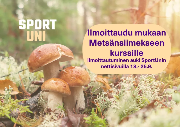 Metsäkurssi mainos