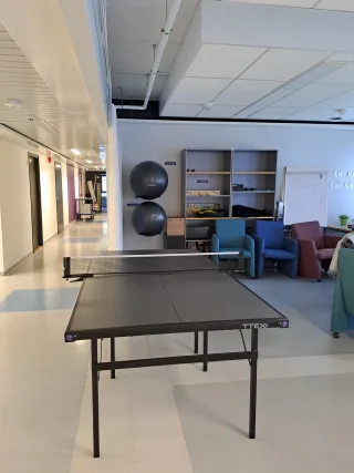 Pingispöytä