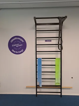 WALL BARS