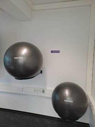 EXCERCISE BALLS