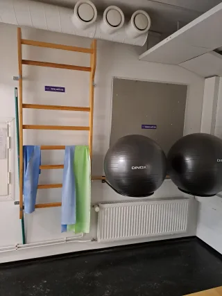 EXERCISE BALLS AND BANDS