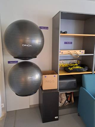 EXERCISE BALLS AND GAMES
