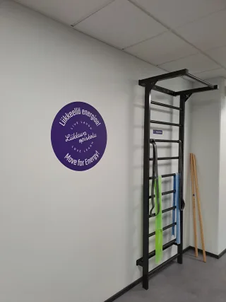 WALL BARS