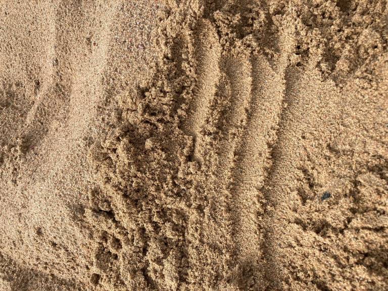 sand