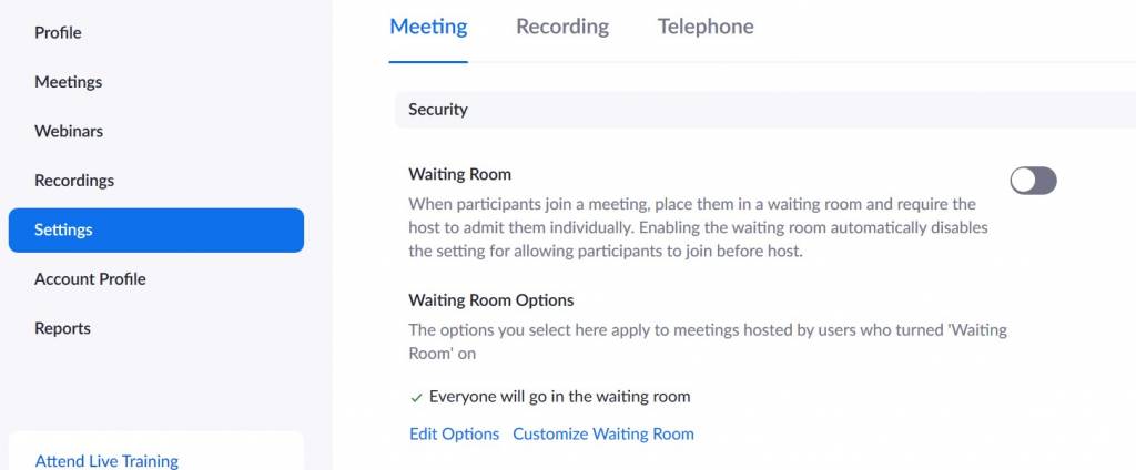 Zoom Meetings tab