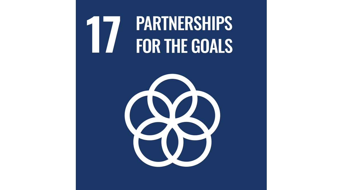 SDG17: Partnerships for the goals