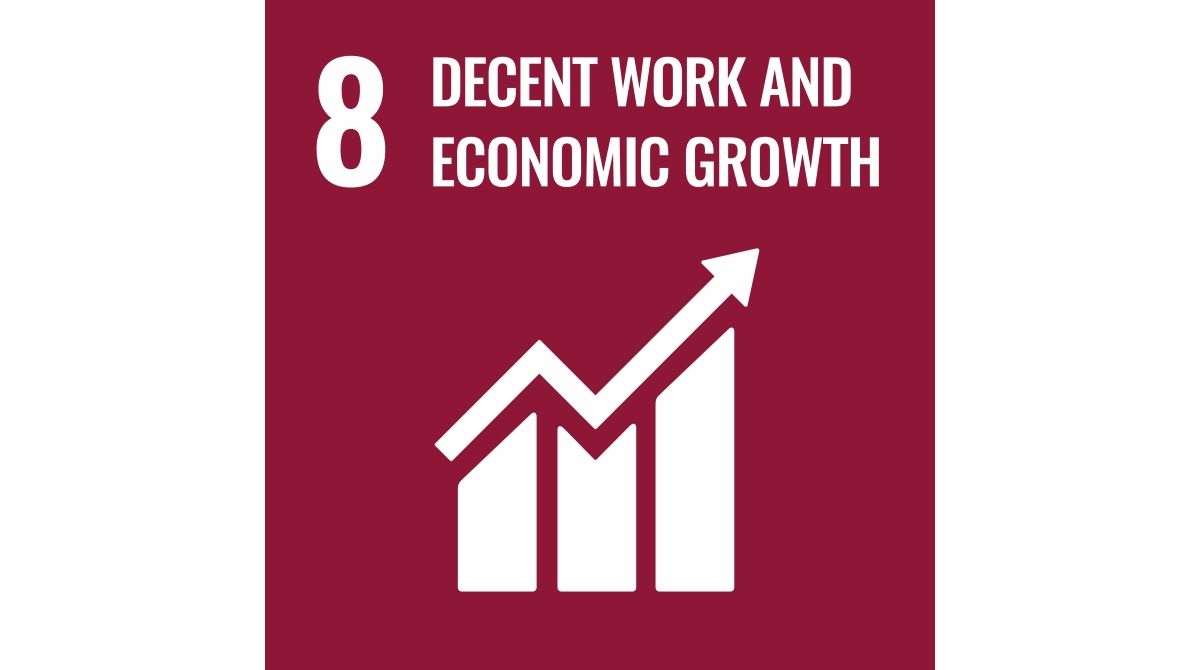 SDG8: Decent work and economic growth