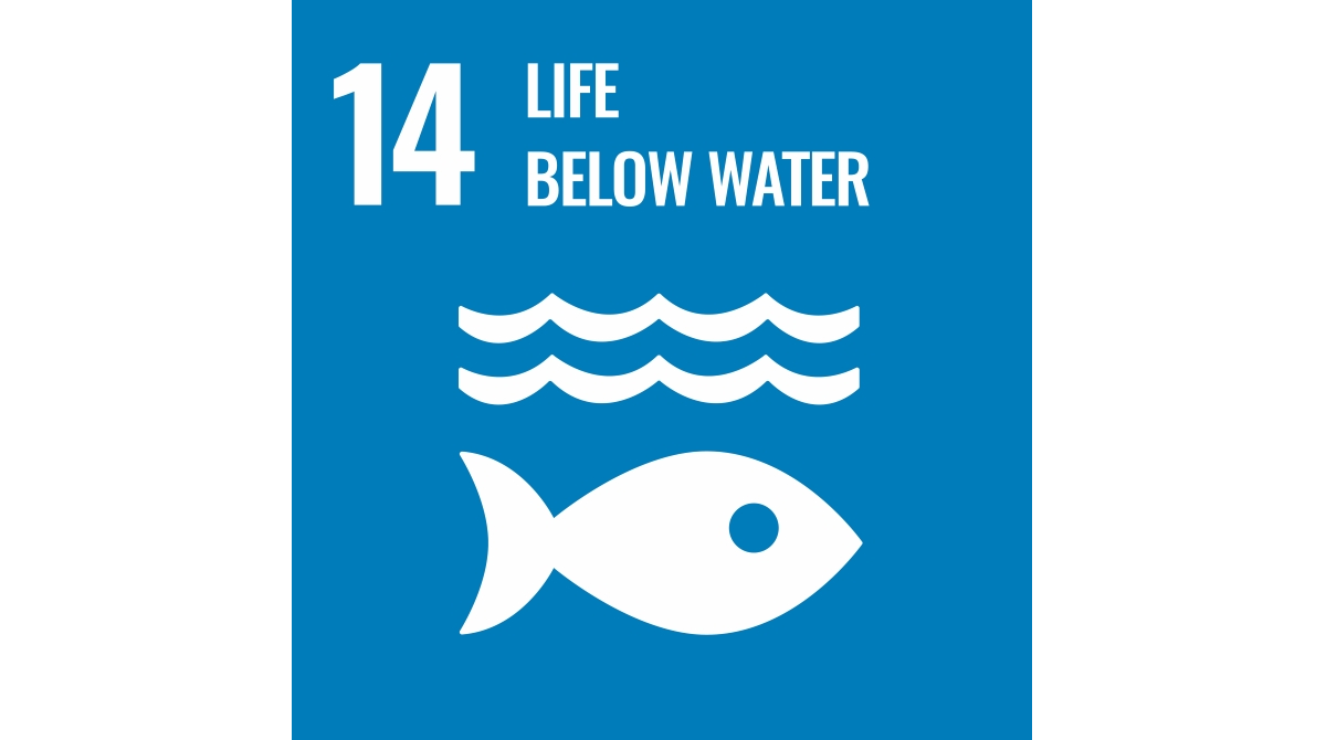 SDG14: Life below water