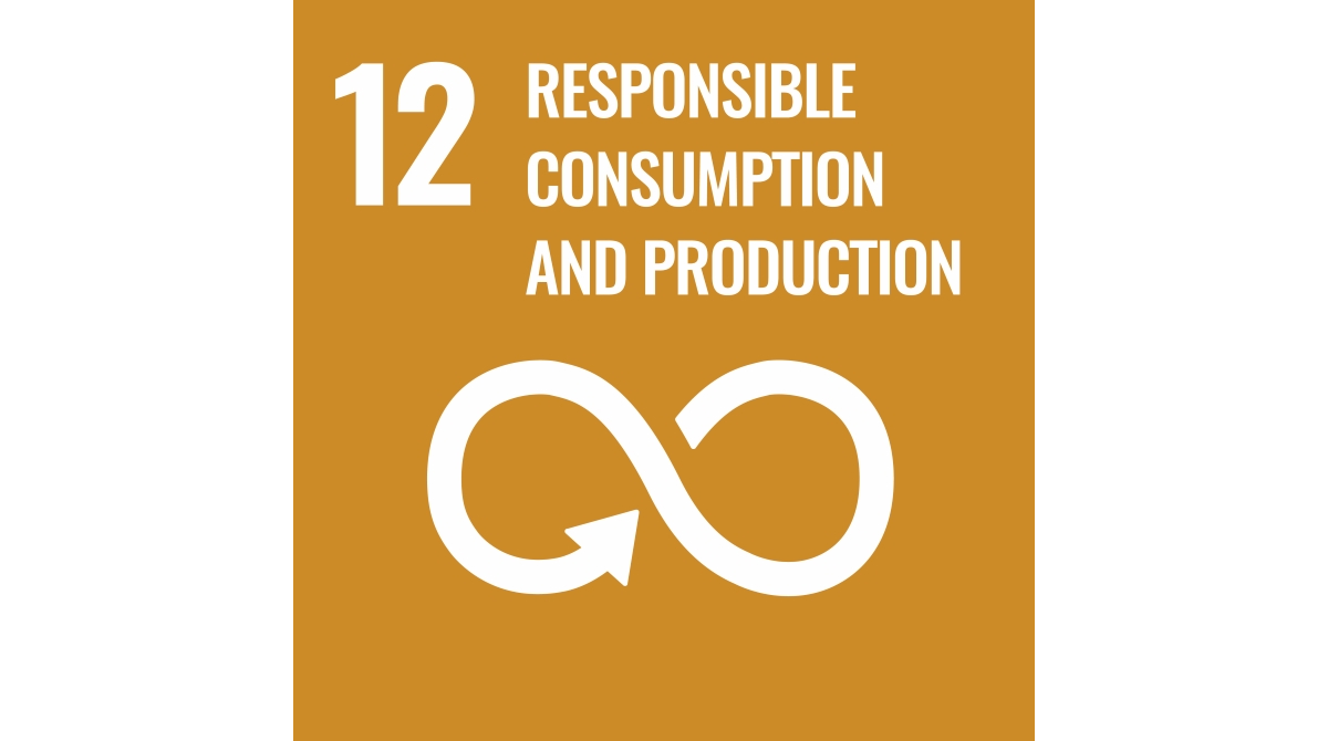 SDG12: Responsible consumption and production