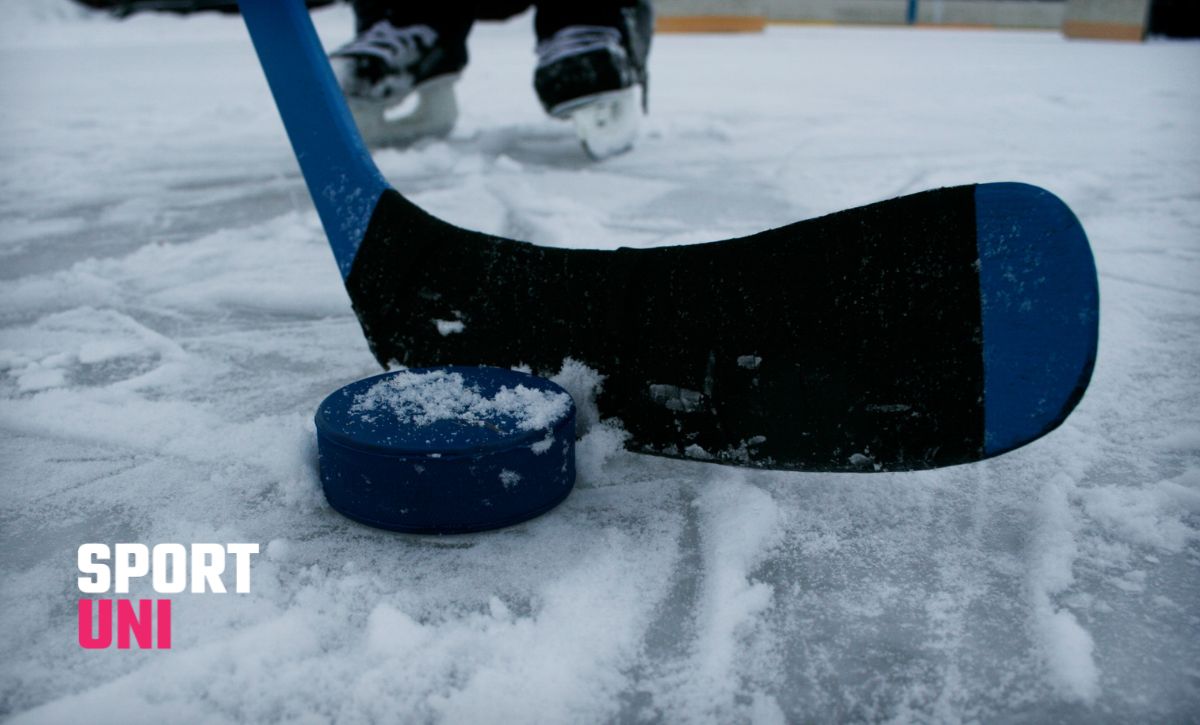 Icehockeystick and puck.